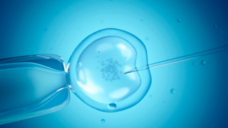 Who Gets to Decide the Fate of Embryos? A Missouri Bill Tries to Answer the Difficult Question